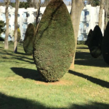 T3 Les Peupliers Proche Pasino Et Mer La Grande-Motte Exterior foto